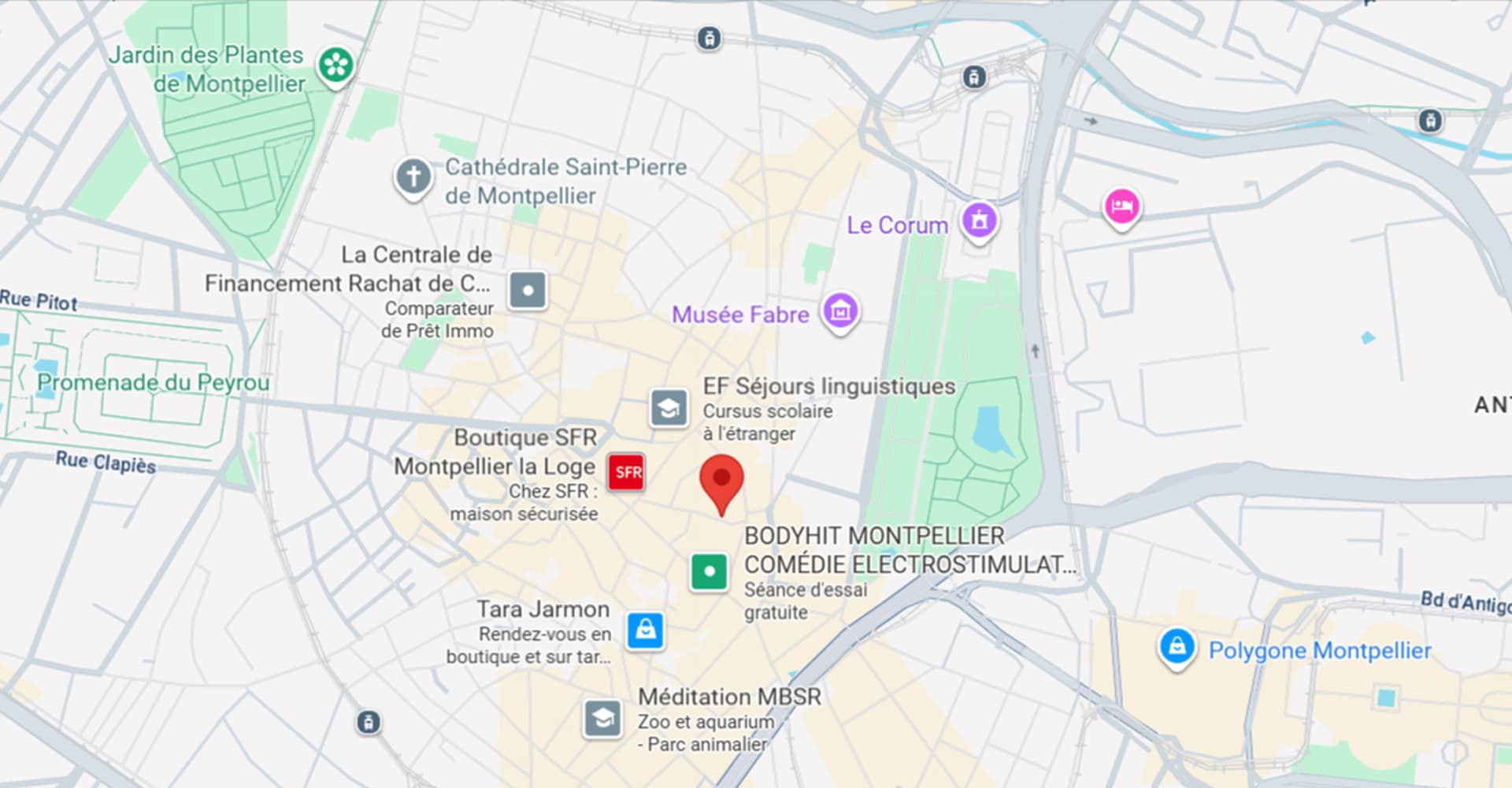 Carte de Montpellier centrée sur la Boutique SFR La Loge, indiquant le Musée Fabre, Le Corum, et la Promenade du Peyrou.